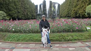 �N���b�N���Ċg��